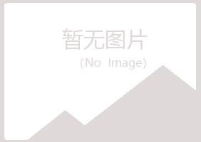 鹤山区向雪化学有限公司